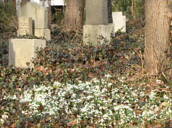 Winterende auf dem Friedhof